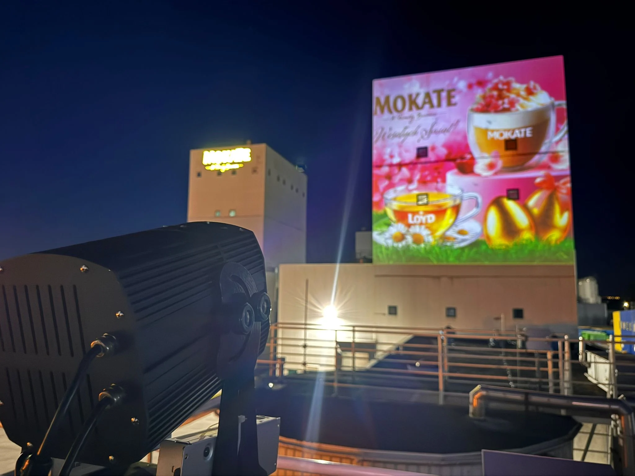 Promocje sezonowe